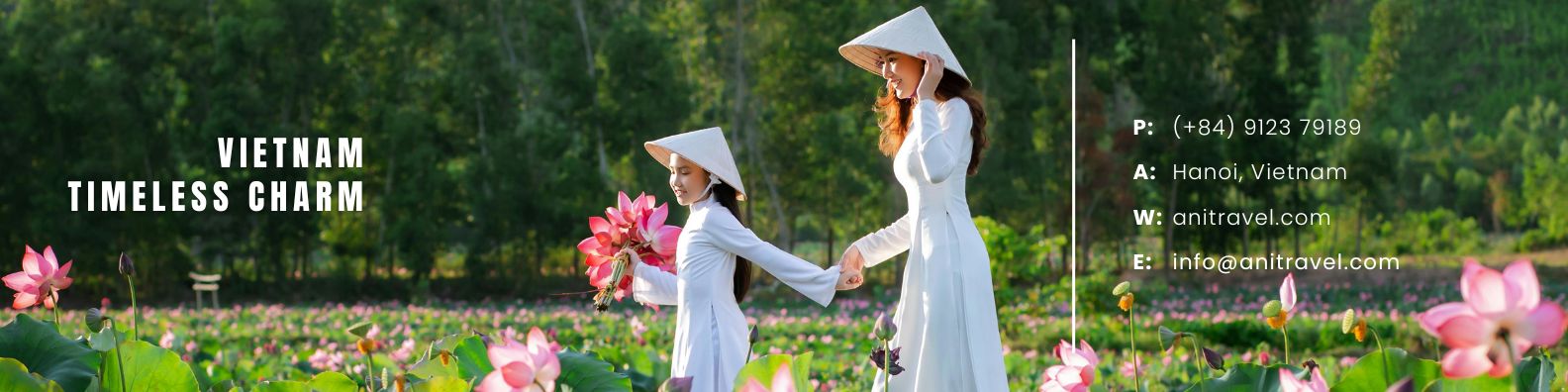 Vietnam Timeless Charm